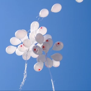 Lasciti testamentari